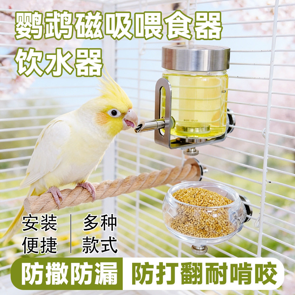 鹦鹉撞针水壶磁吸喂水器鸟用自动饮水器虎皮玄凤牡丹小鸟宠物用品