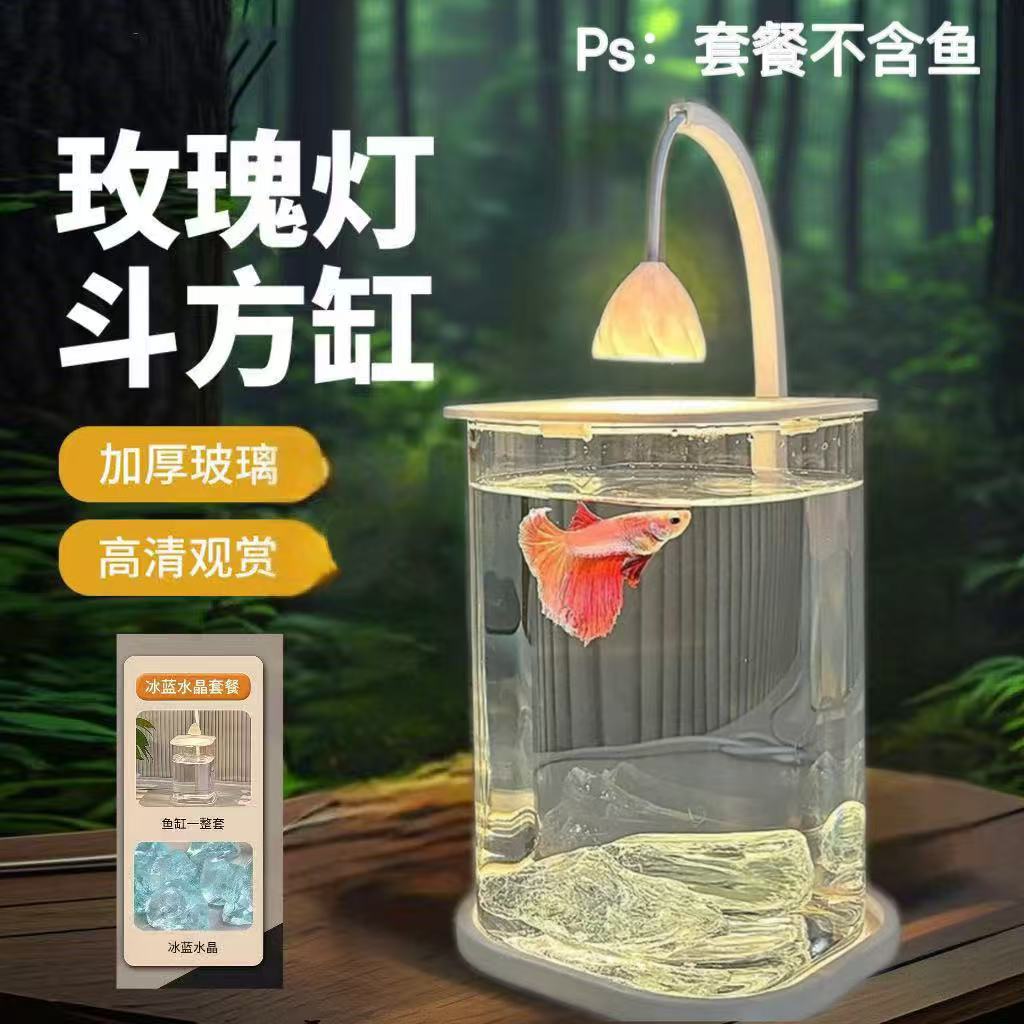 斗鱼缸2026新款小型网红高级感客厅桌面观赏鱼造景办公室工位鱼缸