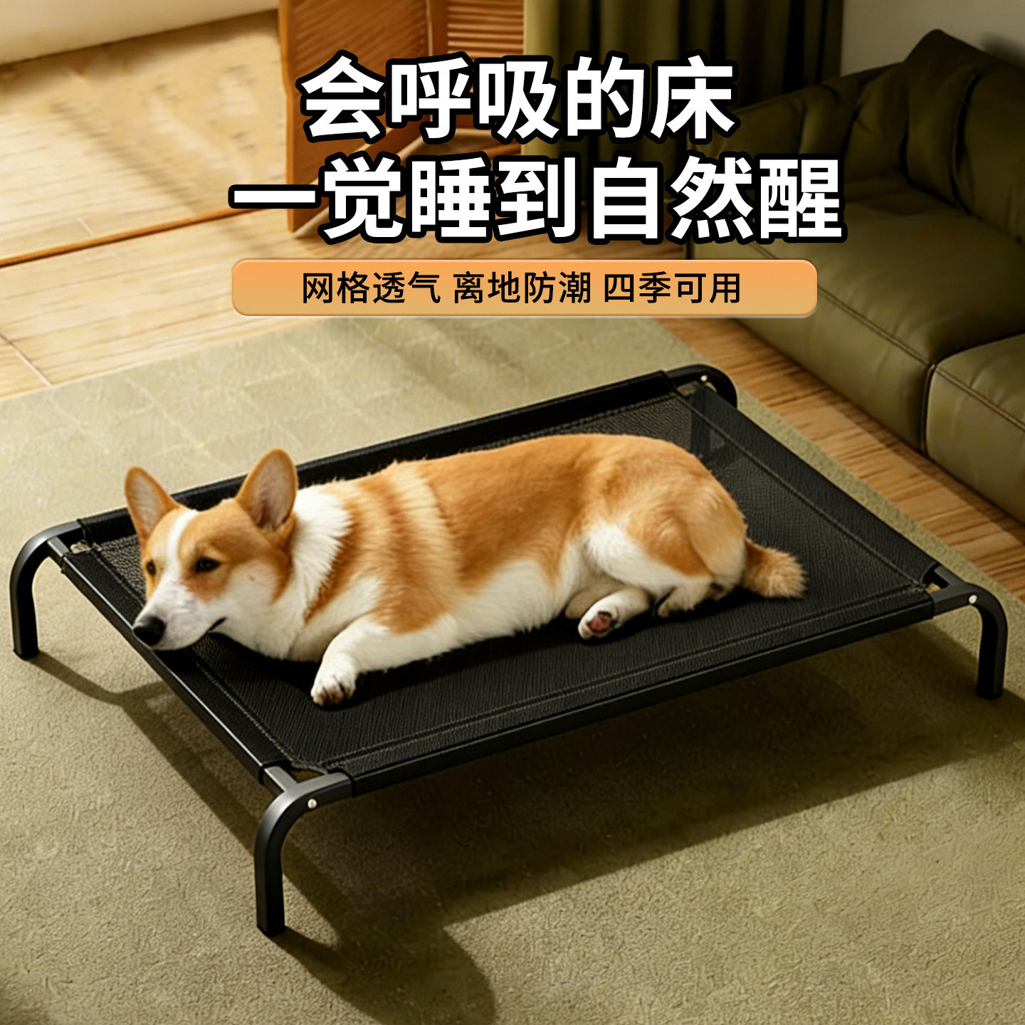 宠物行军床四季通用猫窝狗窝可拆洗狗床离地防潮大型犬宠物床垫子