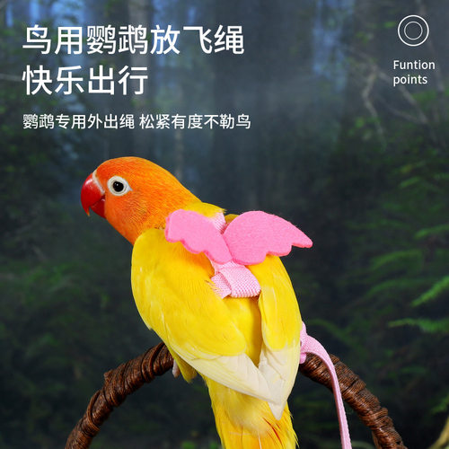 鸟用鹦鹉放飞绳玄凤虎皮牡丹牵引绳飞行外出背带遛鸟神器用品玩具