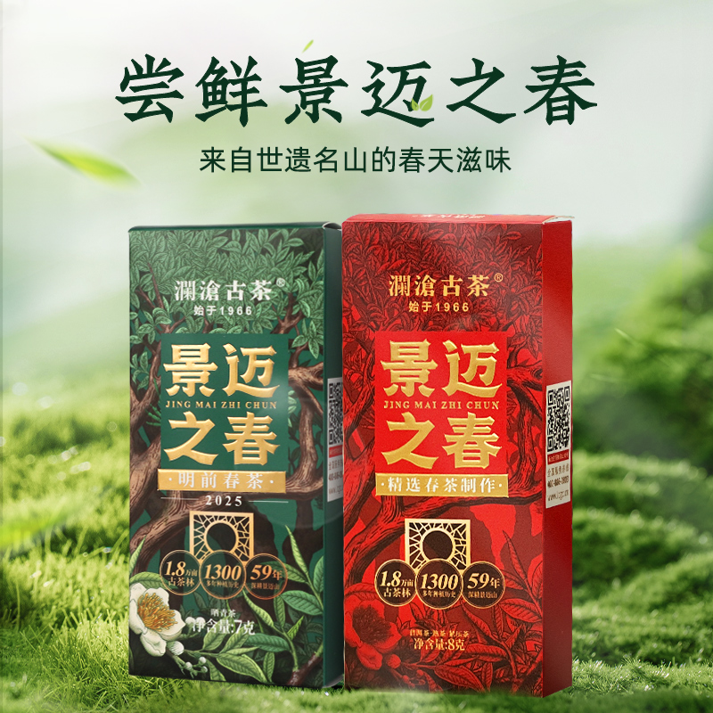 【春茶上市】瀾滄古茶25年景邁之春明前春茶云南普洱曬青散茶組合