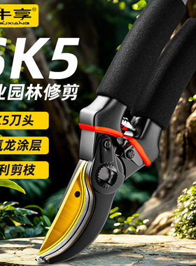 牛享剪枝剪刀园林花艺修剪树枝剪刀果树剪刀粗大花剪园艺剪子工具