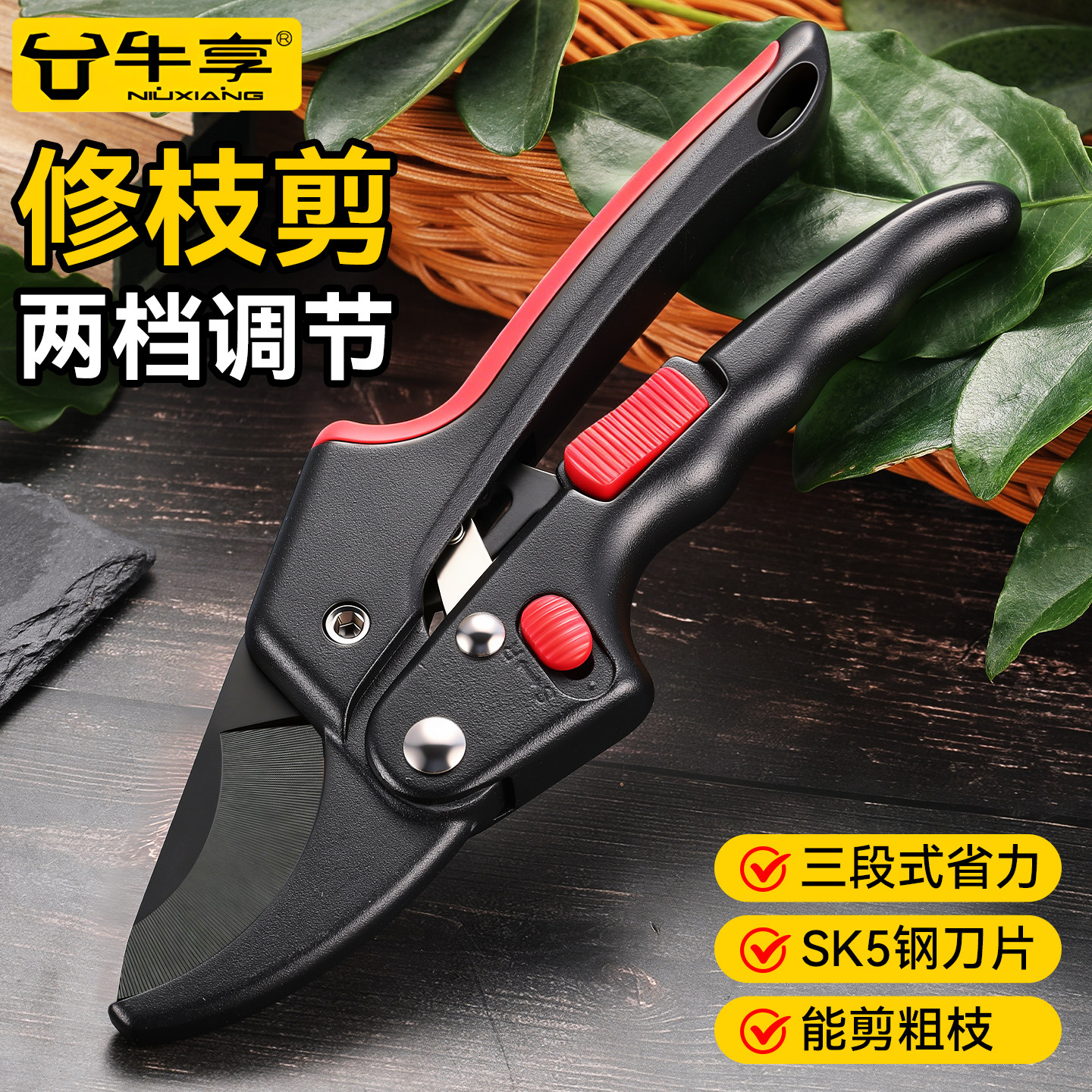 果树省力修枝剪花卉剪园艺剪多用图片