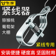 葡萄架紧线器钢丝绳拉紧大棚电镀锌紧丝扣小型钢丝拉紧器铁丝卡扣