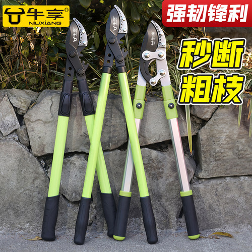 园艺剪刀修剪树枝专用粗枝剪刀
