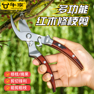 牛享不锈钢修枝剪园艺省力剪子园林花艺果树修剪树枝修进口花剪刀