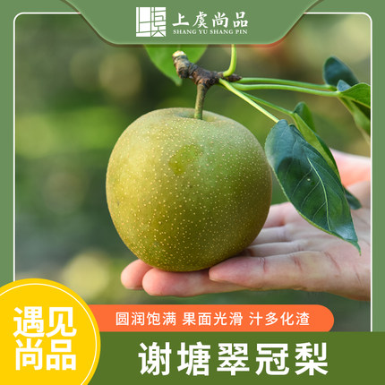 上虞尚品上虞谢塘翠冠梨现摘现发9个装带箱2500g装新鲜