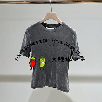 BDS1YD1568女装百搭打底衫圆领短袖丝绒紧身显瘦T恤烟波江上