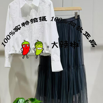 BDS2BD2265衣播女装法式显瘦网纱蓬蓬裙气质百搭半身裙三千个世界