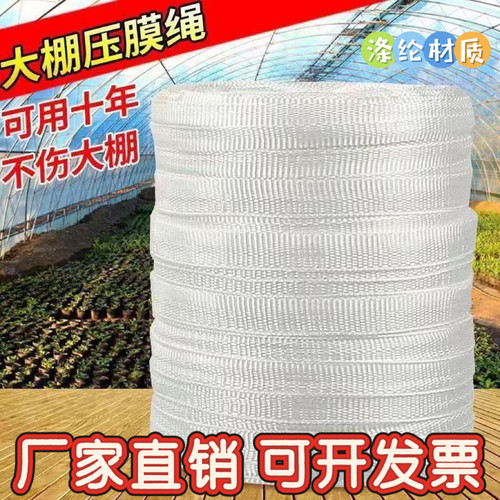 大棚专用压膜绳白色涤纶压膜线加厚扁带拉枝牵引绳防晒抗老化结实
