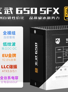 驿晨宇玄武电源650SFX小电源金牌全模组650W电脑台式机主机电源