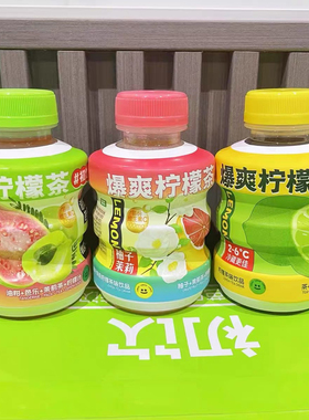 【0蔗糖】初饮爆爽柠檬茶饮品小瓶装300g0蔗糖0脂肪夏季清爽整箱
