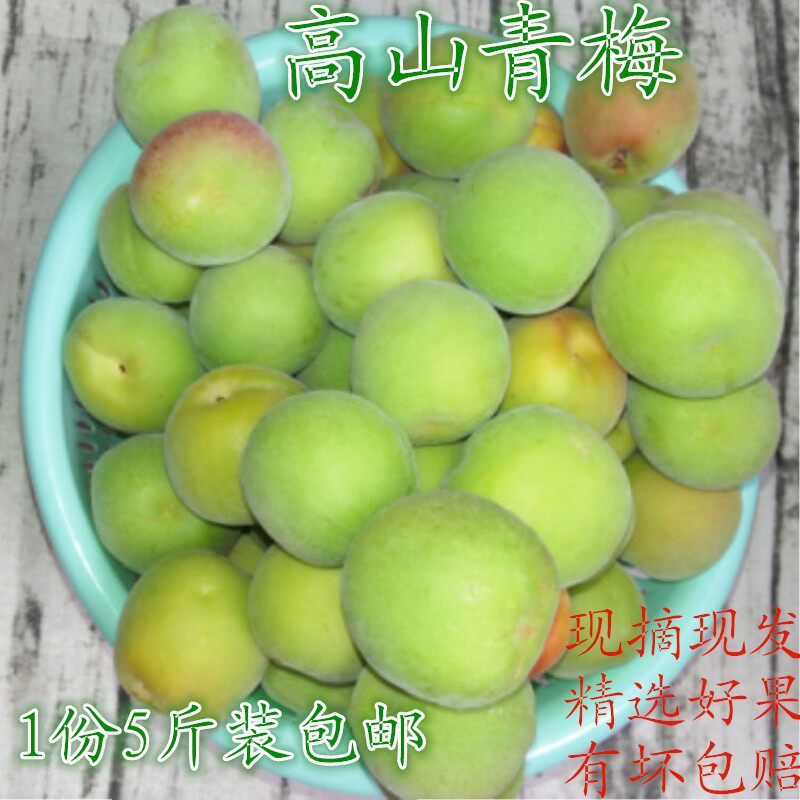 青梅果新鲜云南包邮高山野生现摘大理梅子孕妇酸水果泡酒酵素5斤