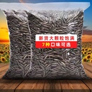 内蒙新瓜子大现炒现卖原味五香味新鲜新货生瓜子三种可选年货炒货