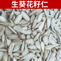 生葵新貨新鮮烘焙原料瓜子仁