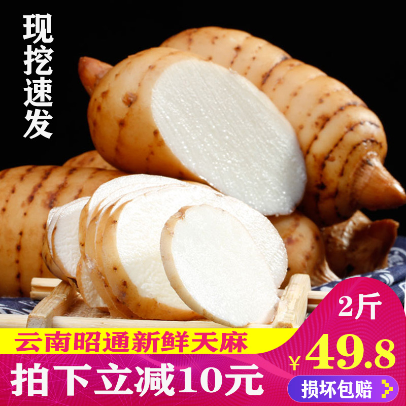 天麻 云南昭通1000g新鲜现挖小草坝仿野生大非特级贵州粉片干货纯