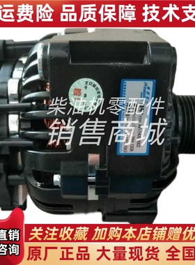 佩特来AVI147D3002发电机马达客车发电机申龙金龙宇通12V发动机