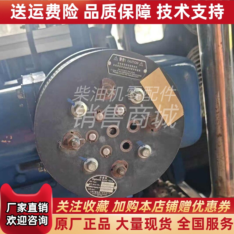 上海齐耀系统工程QFA65 防爆阀 QZ20006