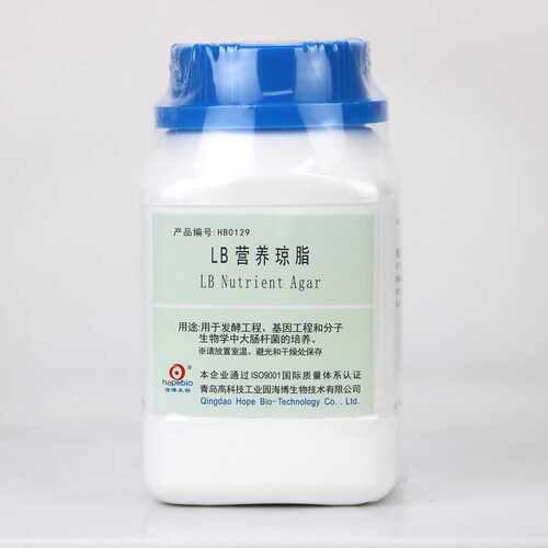 培养基 lb琼脂中分子生物学大肠杆菌的Elb培养基肉汤 lb 液体培养