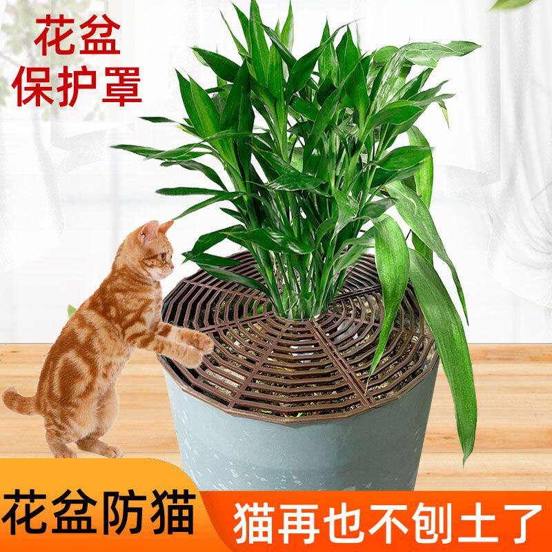 花盆防护罩花土保护格防宝宝猫狗玩花土塑料花盆防洒镂空保护网大
