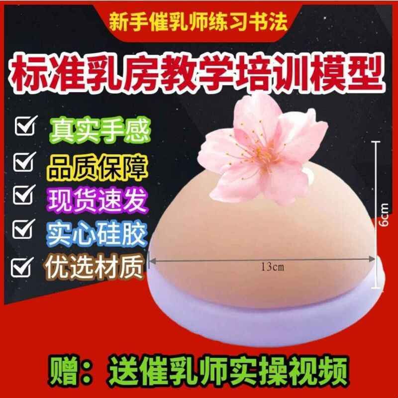 婴儿安抚假乳房仿真乳房 催乳师培训教具 哺乳教学纯胶模型医用模