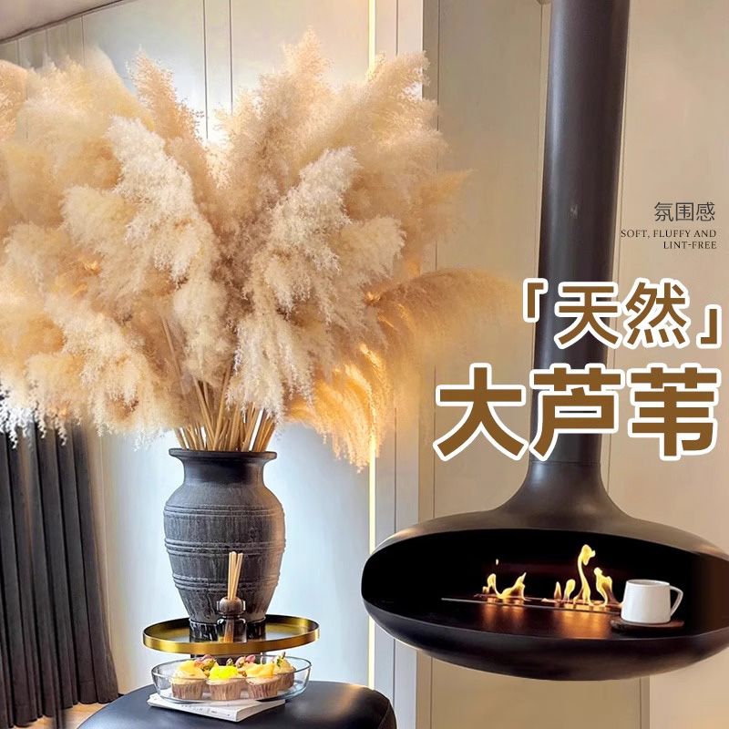 仿真花高级感逼真芦苇芦苇干花花束大蒲苇客厅真花风干天然装饰落