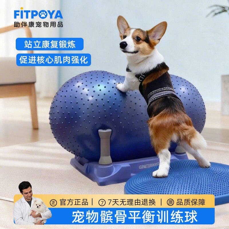 狗狗瑜伽球狗狗康复健身训练器材宠物瘫痪锻炼花生球髌骨脱位后腿