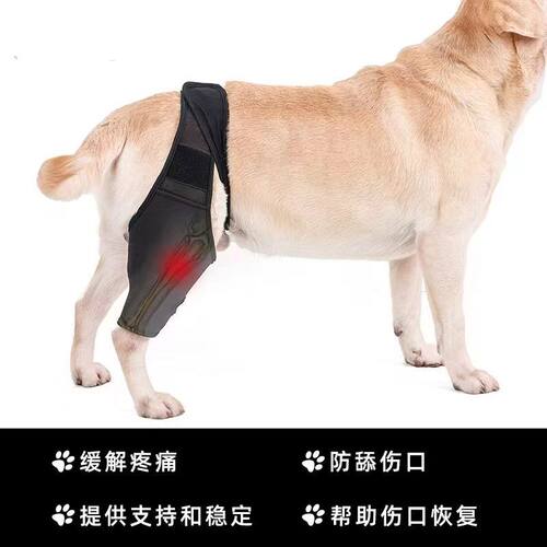 狗狗髌骨脱位护具狗狗髌骨保护带宠物辅助行走腿部辅助带狗护膝残
