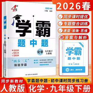 2026春季4星学霸题中题化学九年级下册人教版初三9年级下化学全国通用同步课时提优专题整合提优根据新教材编写