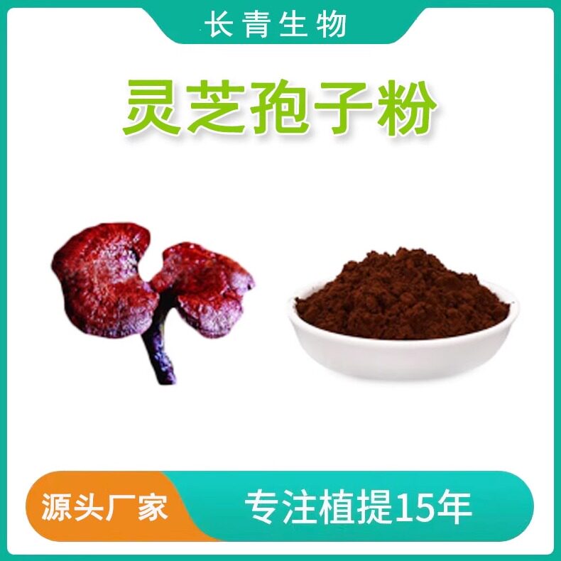 灵芝孢子粉 破壁率大于98% 灵芝三萜 厂家直发 源头工厂 赠送量勺