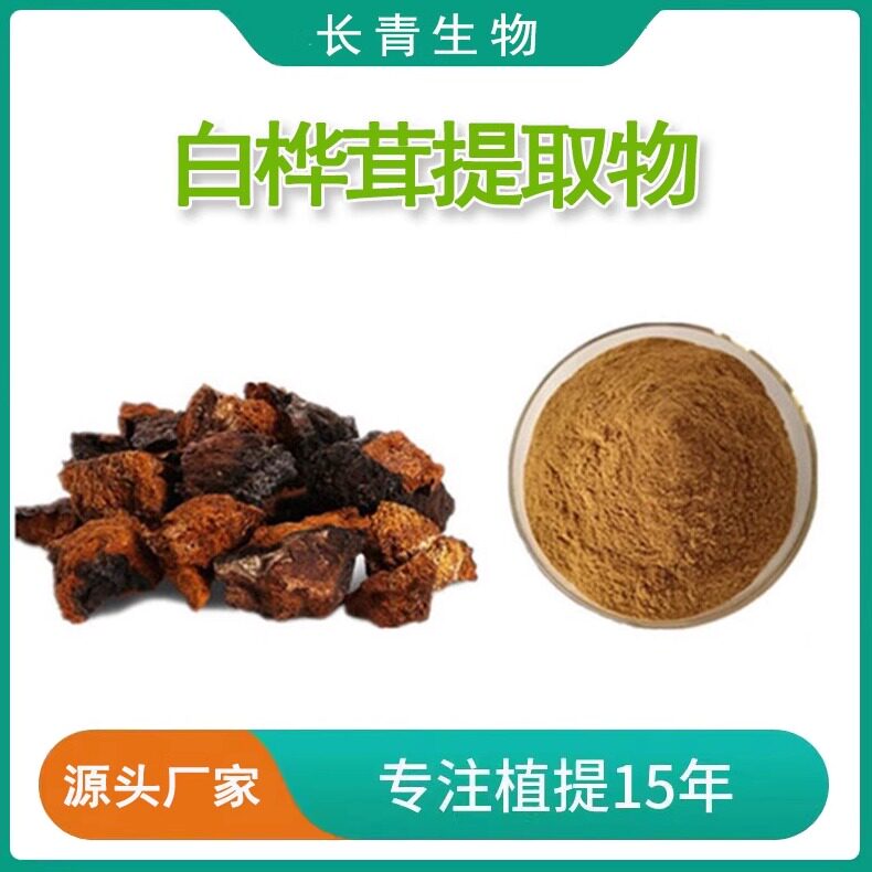 白桦茸提取物 白桦茸多糖60%俄罗斯舞茸菌精华粉末桦褐孔菌提取物