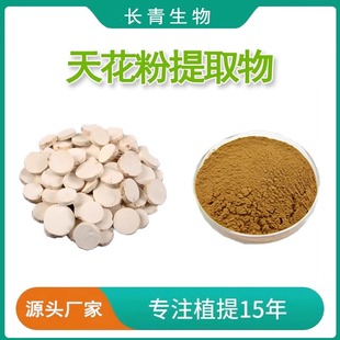 天花粉提取物 20:1 栝楼浓缩粉 植物萃取天花粉 原料粉专业提取