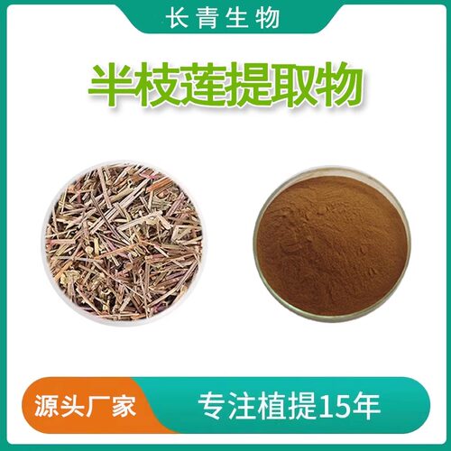半枝莲提取物 牙刷草赶山鞭半枝莲多糖浓缩粉末提取物 源头工厂