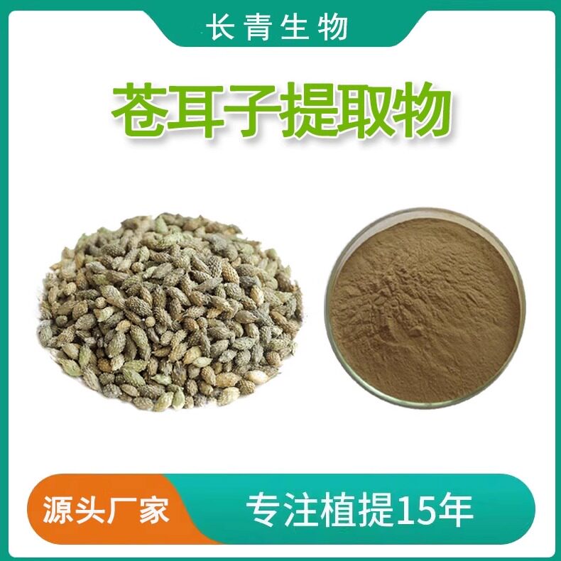 苍耳子提取物 苍耳子粉 天然植物提取物浓缩粉末100克 赠量勺速发