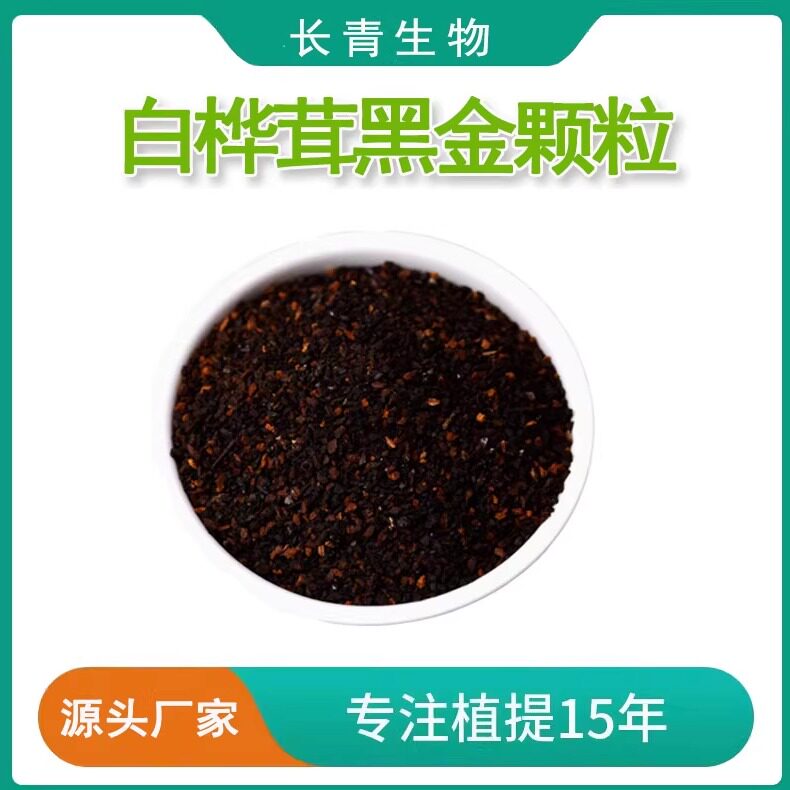 白桦树茸褐孔菌黑金颗粒99% 桦树茸俄罗斯进口野生工厂直发现货