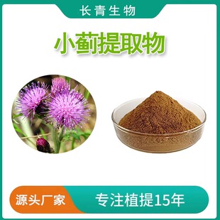 小蓟提取物粉 小蓟皂甙提取物粉末 水溶性纯天然刺儿菜浓缩粉末