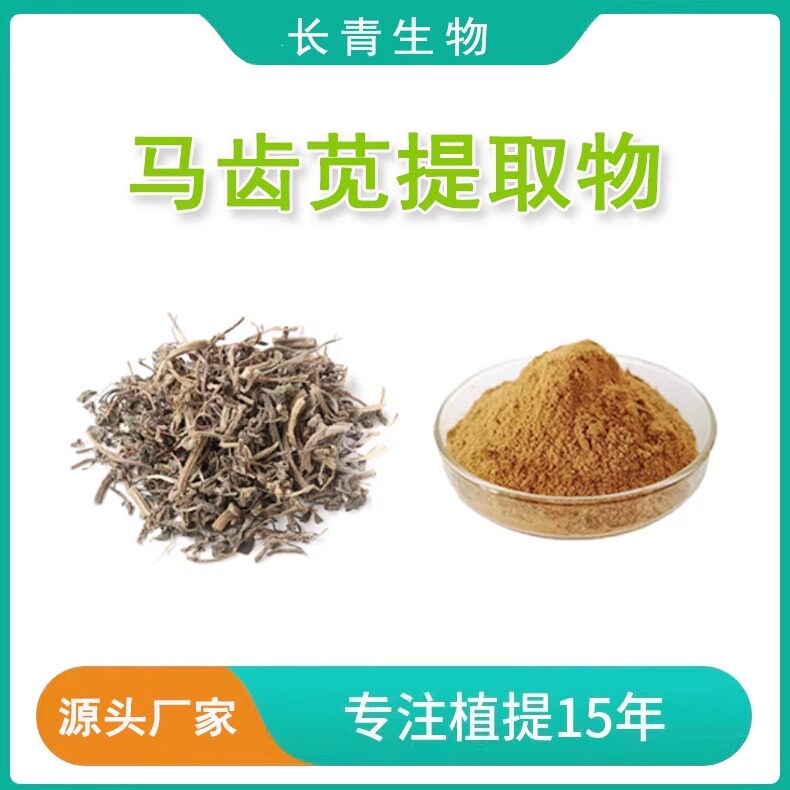 马齿苋提取物 马齿菜马齿苋多糖粉末100克 马齿笕皂甙提取物 赠勺