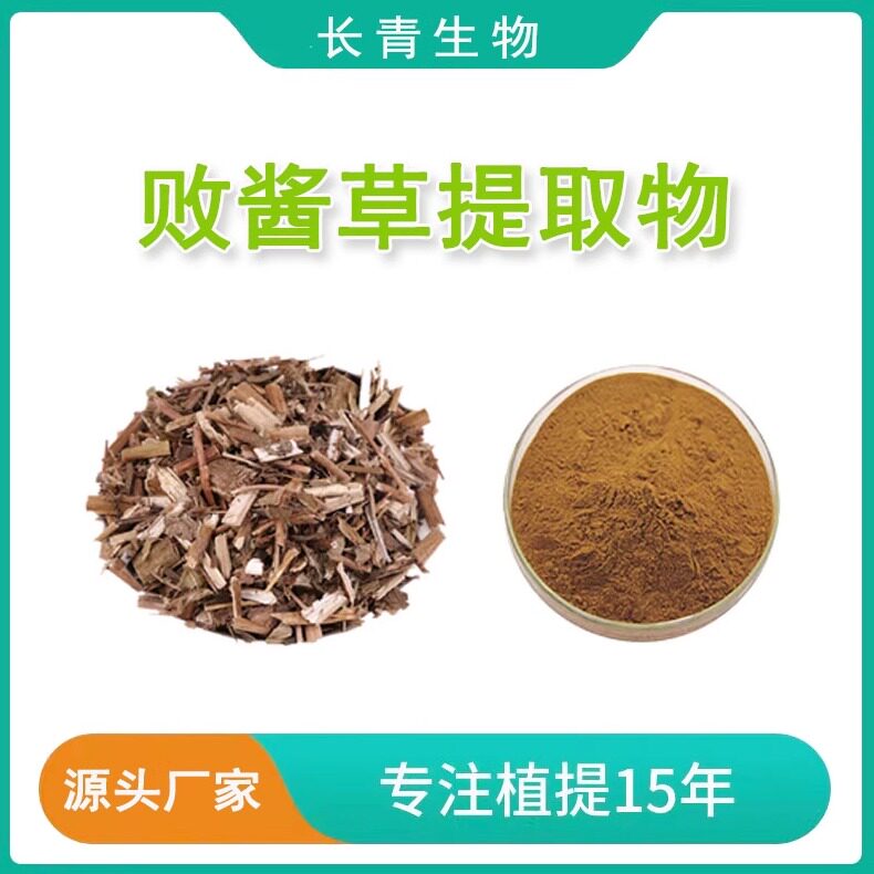 败酱草提取物 苦菜节托莲败酱草浓缩精华粉末现货供应高质量包邮