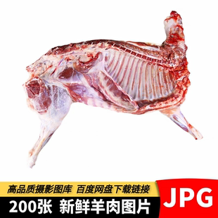 高清羊肉图片生鲜山羊肉羊排肥羊卷全羊生切新鲜肉类食材摄影素材