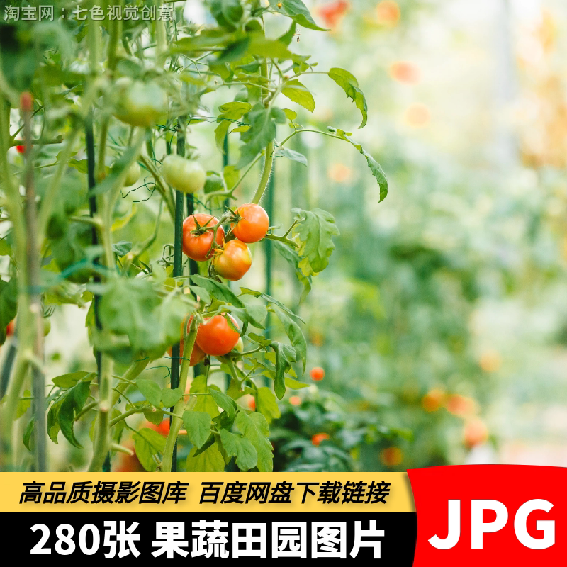 高清JPG蔬菜水果田园素材农家乐大棚绿色有机果蔬菜园摄影图片