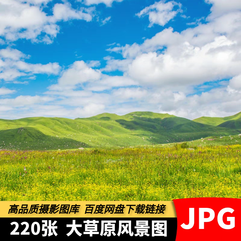 高清JPG大草原图片内蒙古蓝天白云草地牛羊群自然风景摄影素材