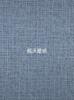 TOKIWA日本进口PINEBULLS肌理感墙纸TWS8251 8252 8253 8254 8255