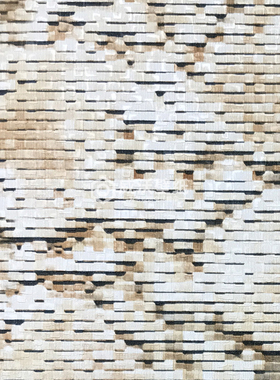 GRAND SAFARI 荷兰进口BN轻奢风墙纸220540 220541 220542 220543