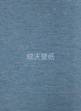 泰祺鸿 仿真丝 无缝墙布B58-225826-225827-225828-225829-225830