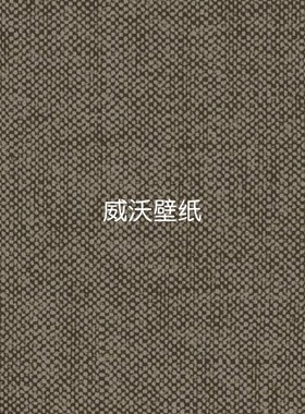 比利时 ARTE 麻点高级感墙纸78005B 78006B 78007B 78008B 78011A