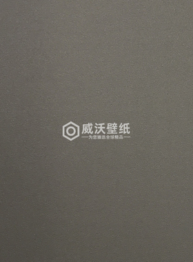 ELAS艾尔莎 KINSEL TIME 61无缝墙布AS61-64 65 66 67 68 69 70