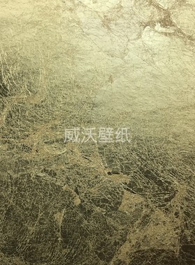 泰祺鸿touchhug 金闪闪金箔银箔墙纸D04-22406 22407 22408 22409