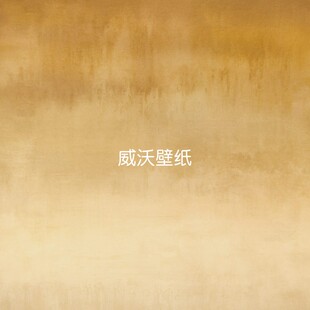 LAN292 OMEXCO比利时进口 Night背景壁画墙纸LAN291 293 Light