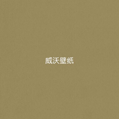 ARTE比利时进口 绒面革墙纸28511A 28513A 28515A 31750 31751