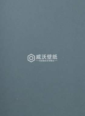 ELSA艾尔莎 KINSEL TIME 62无缝墙布AS62-55 56 57 58 59 60 61